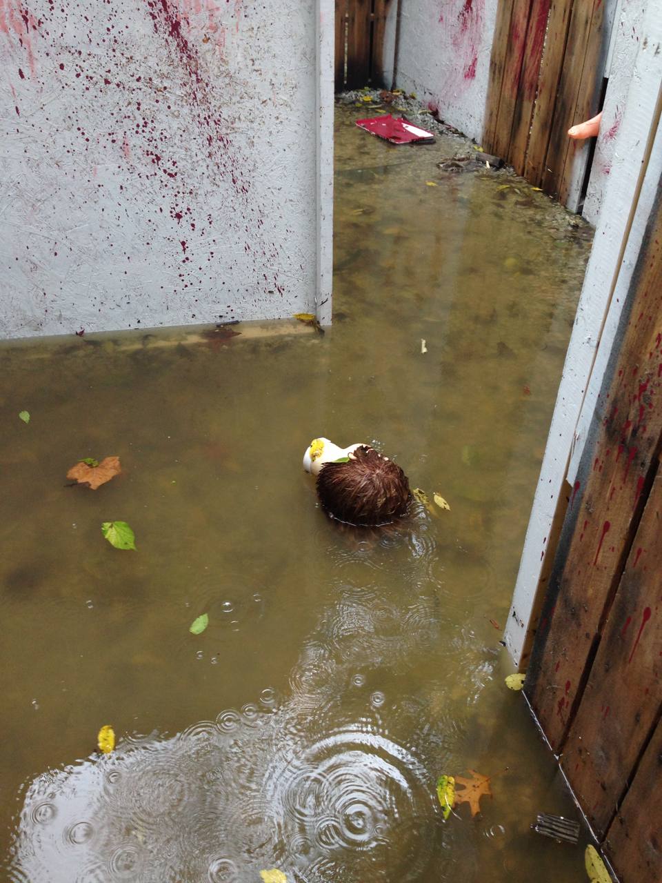 Flood at the haunt build