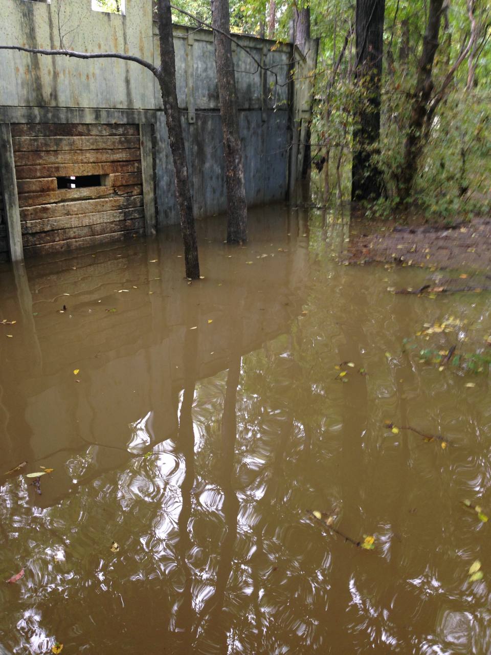 Flood at the haunt build