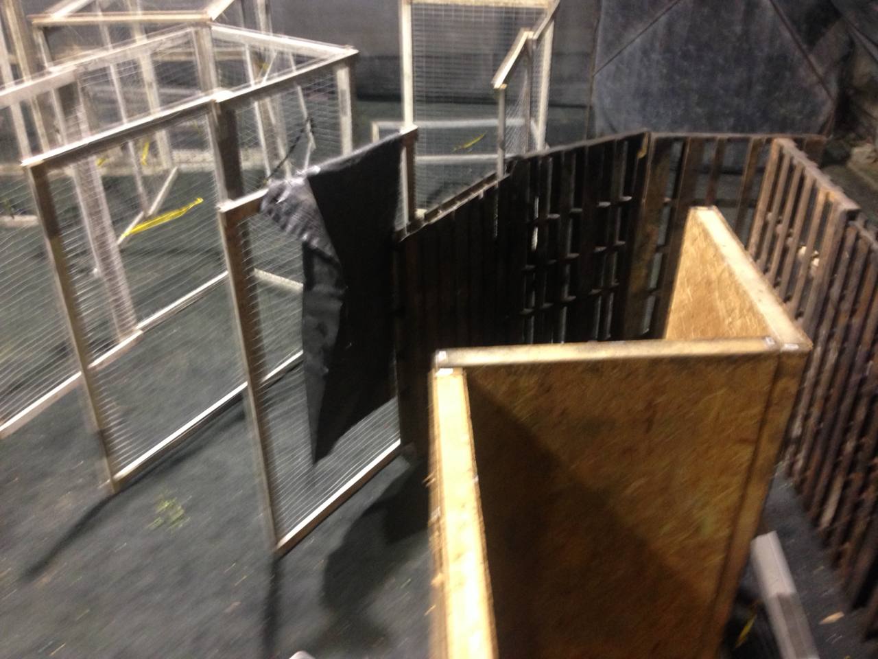 Maze buildout