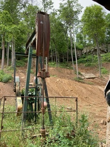 Hollerwood