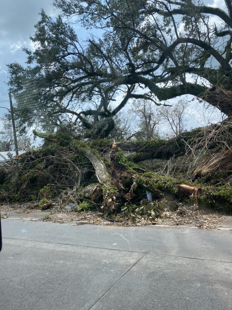 Hurricane Ida Response Team