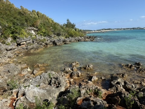Exploring Bermuda