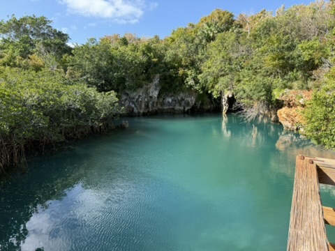 Exploring Bermuda