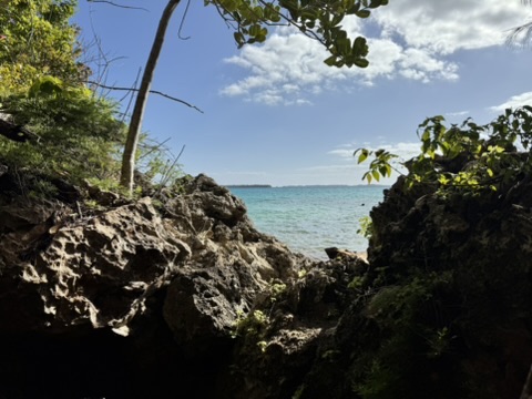 Exploring Bermuda