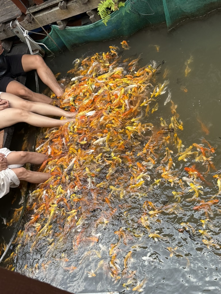Mekong River Delta, Vietnam