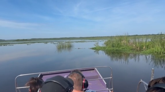 Airboat Alligator Tour