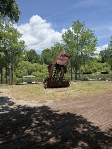 Airboat Alligator Tour