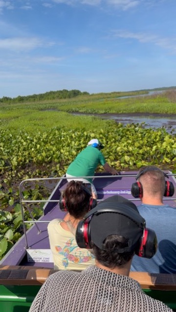 Airboat Alligator Tour