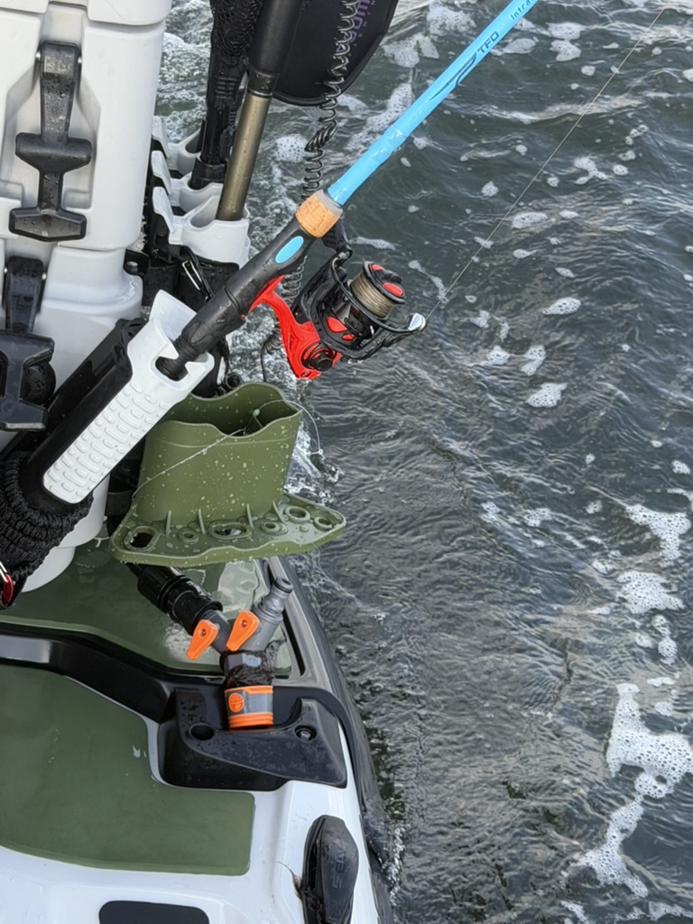 Fishing Locally — Exploring Tampa Bay