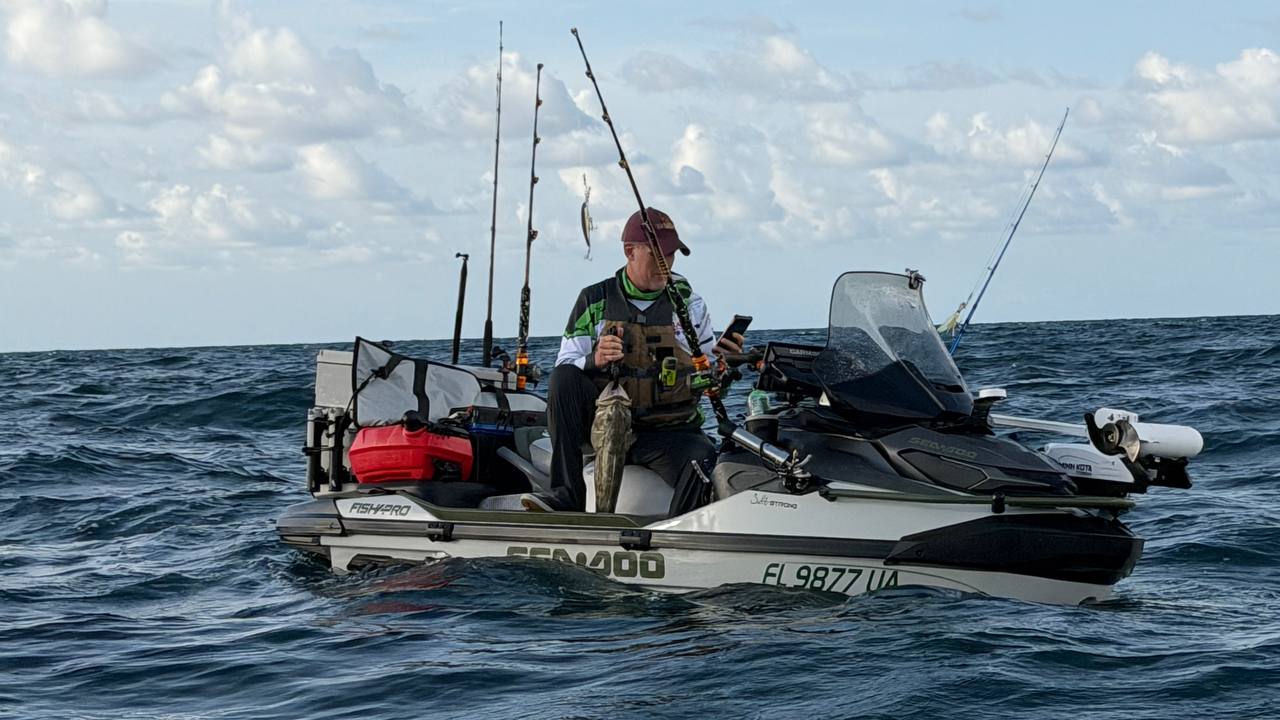 Checking the fish before the release
