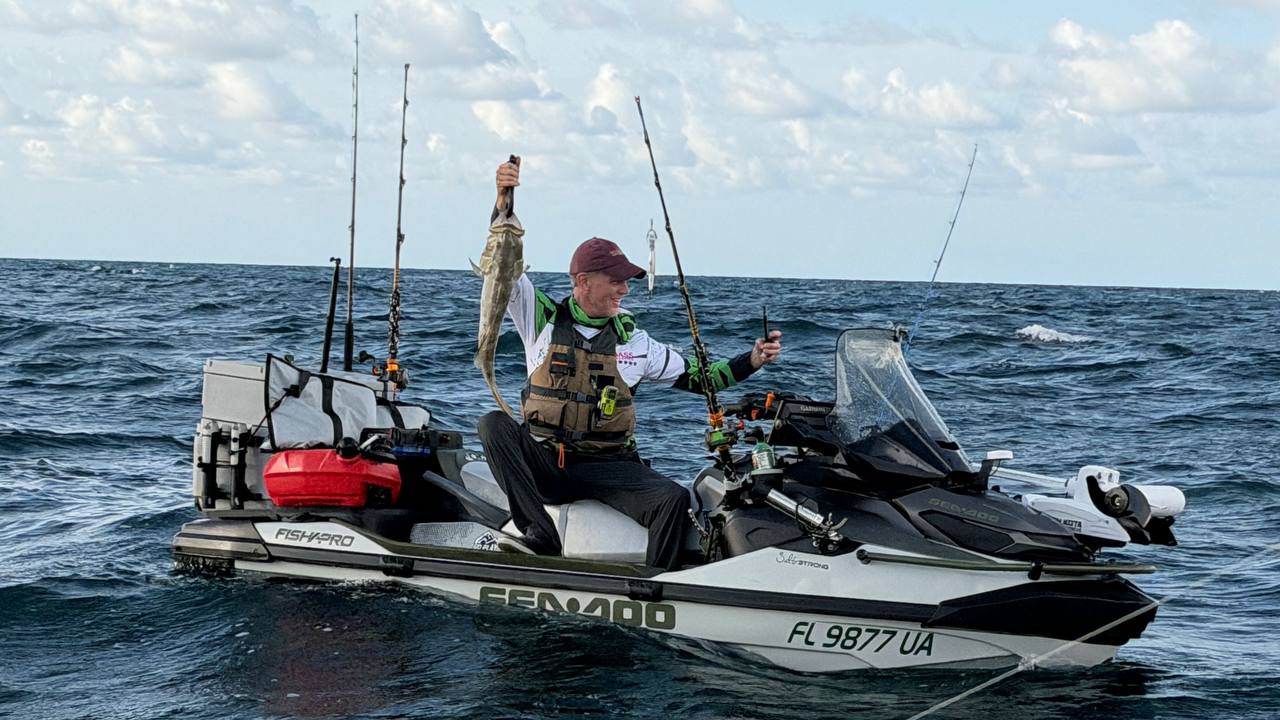The gag grouper, held aloft