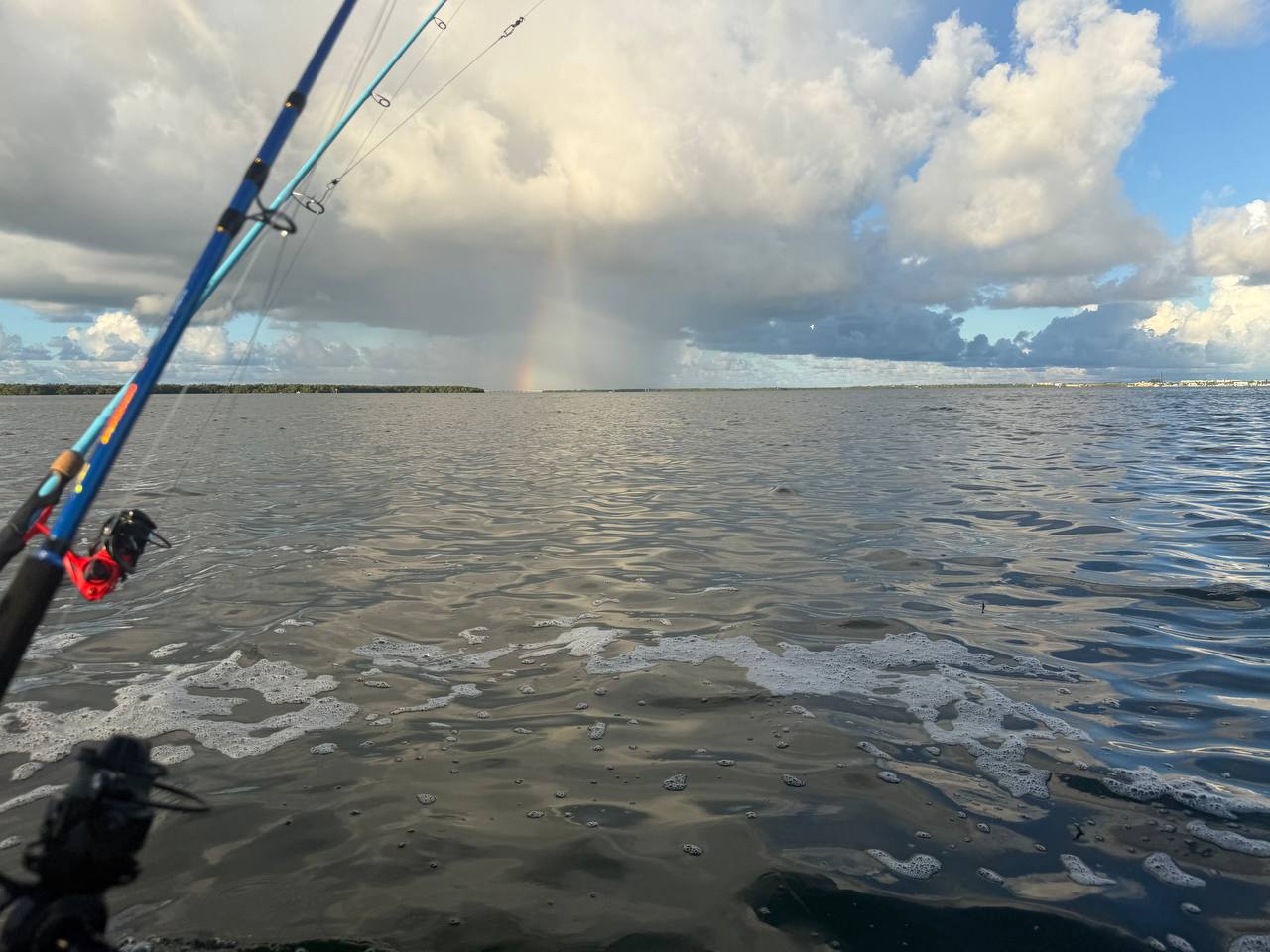 AI Can't Catch a Fish