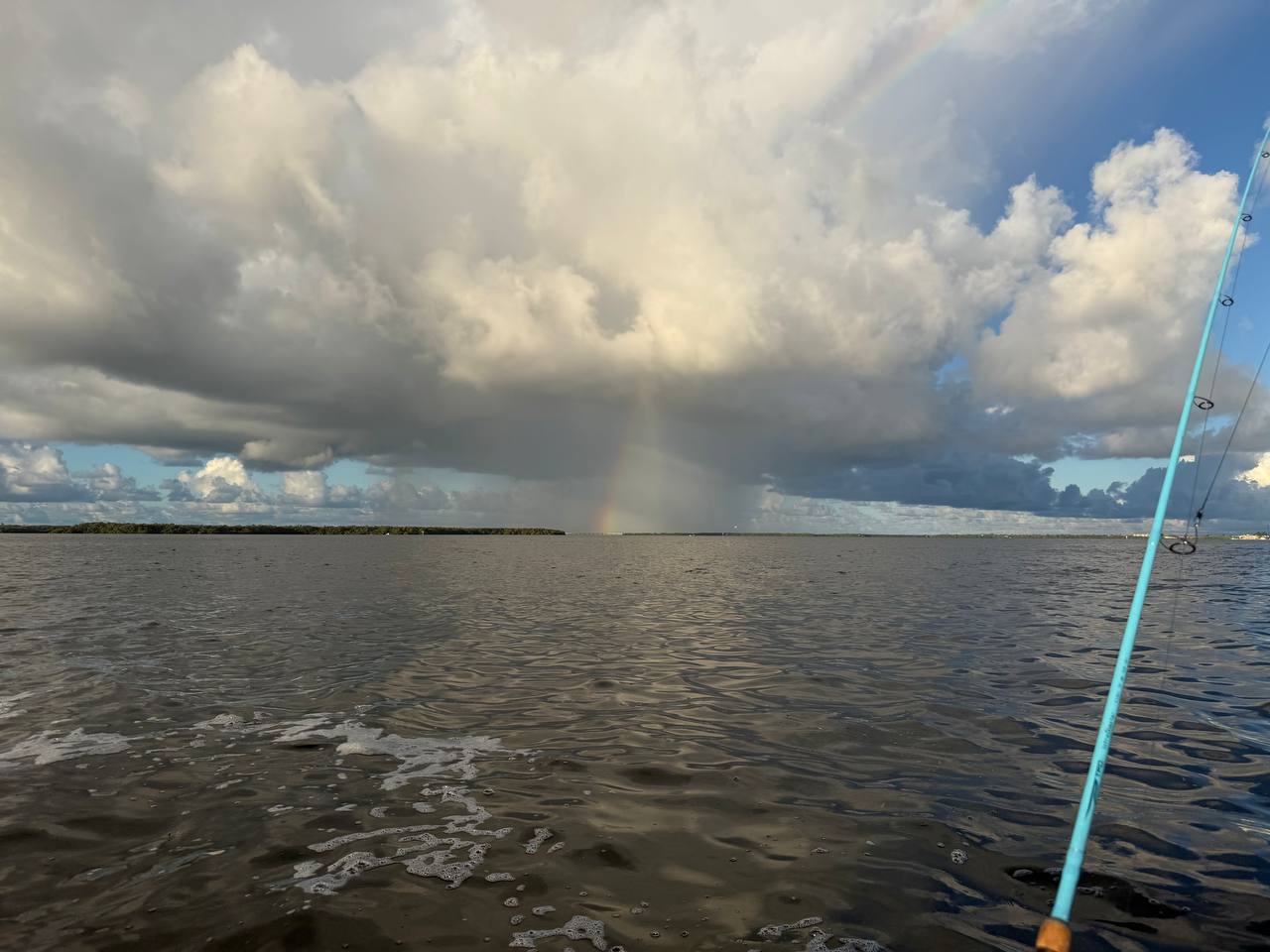 AI Can't Catch a Fish