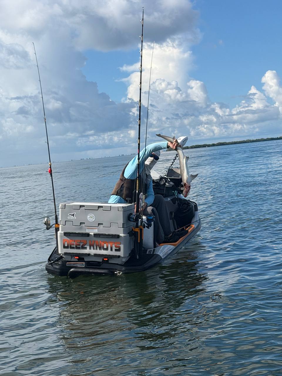 AI Can't Catch a Fish