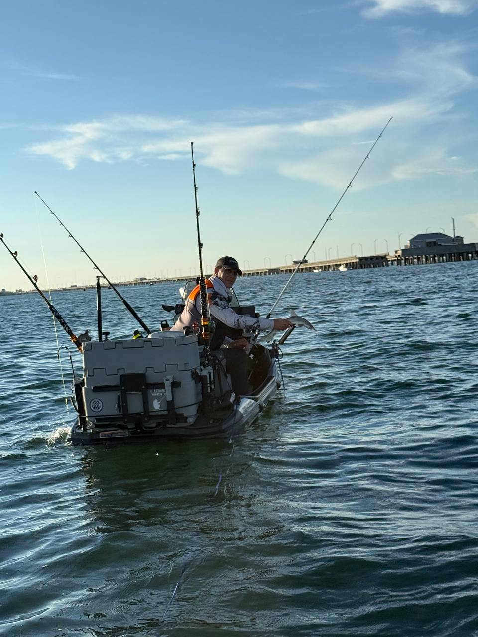 Gag Grouper Season: Sharks, Remoras, and No Grouper