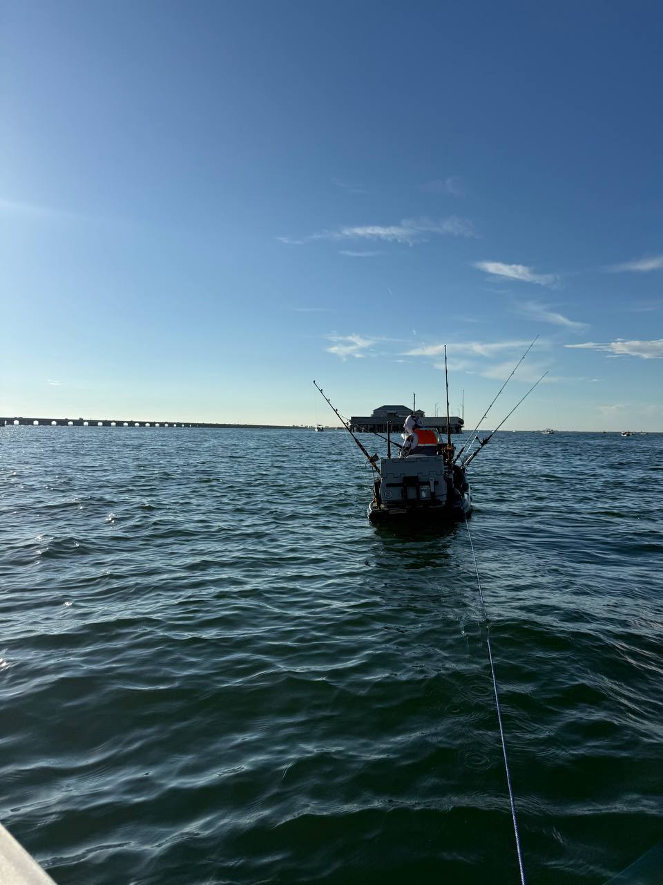 Gag Grouper Season: Sharks, Remoras, and No Grouper