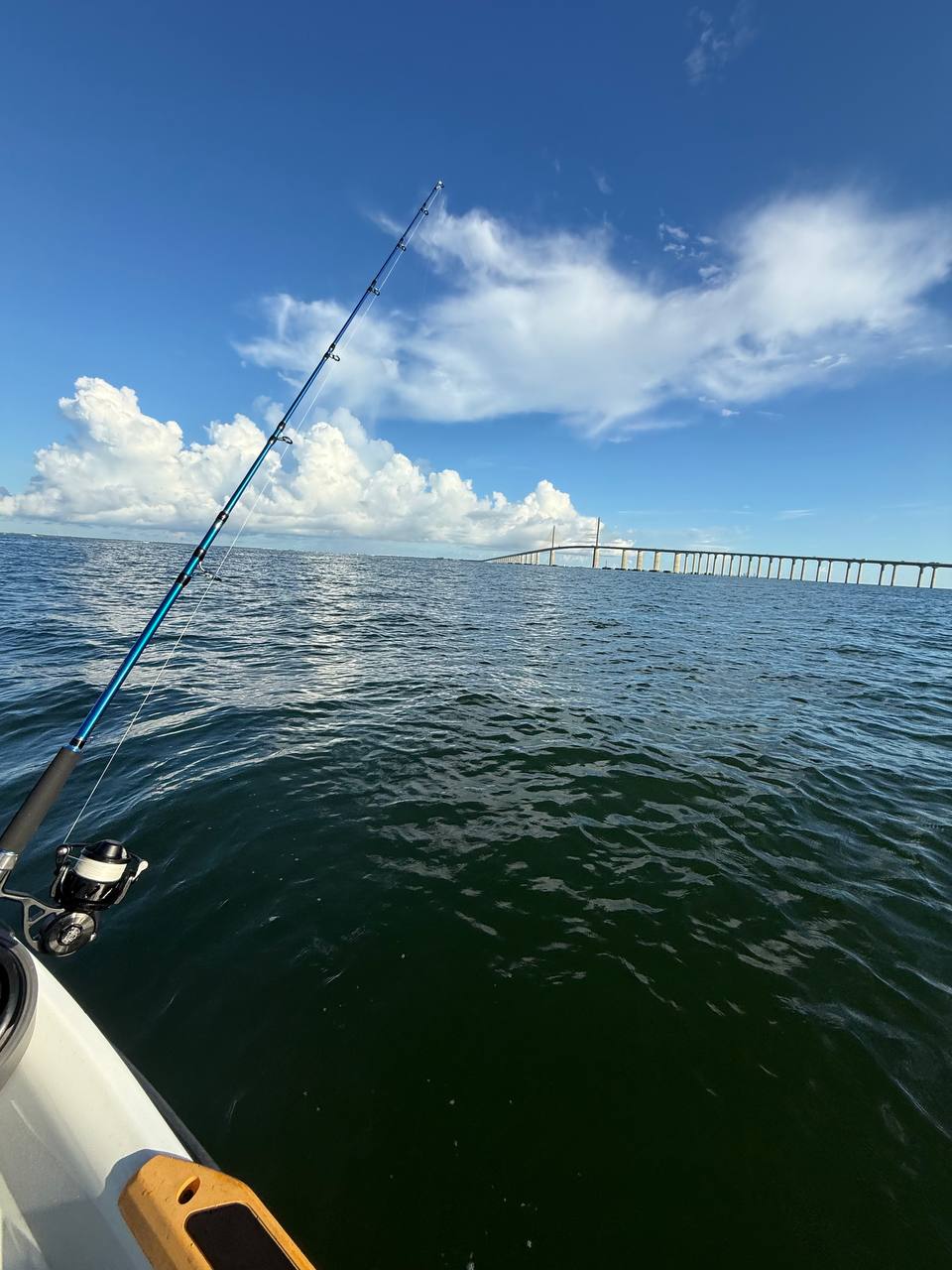 Gag Grouper Season: Sharks, Remoras, and No Grouper