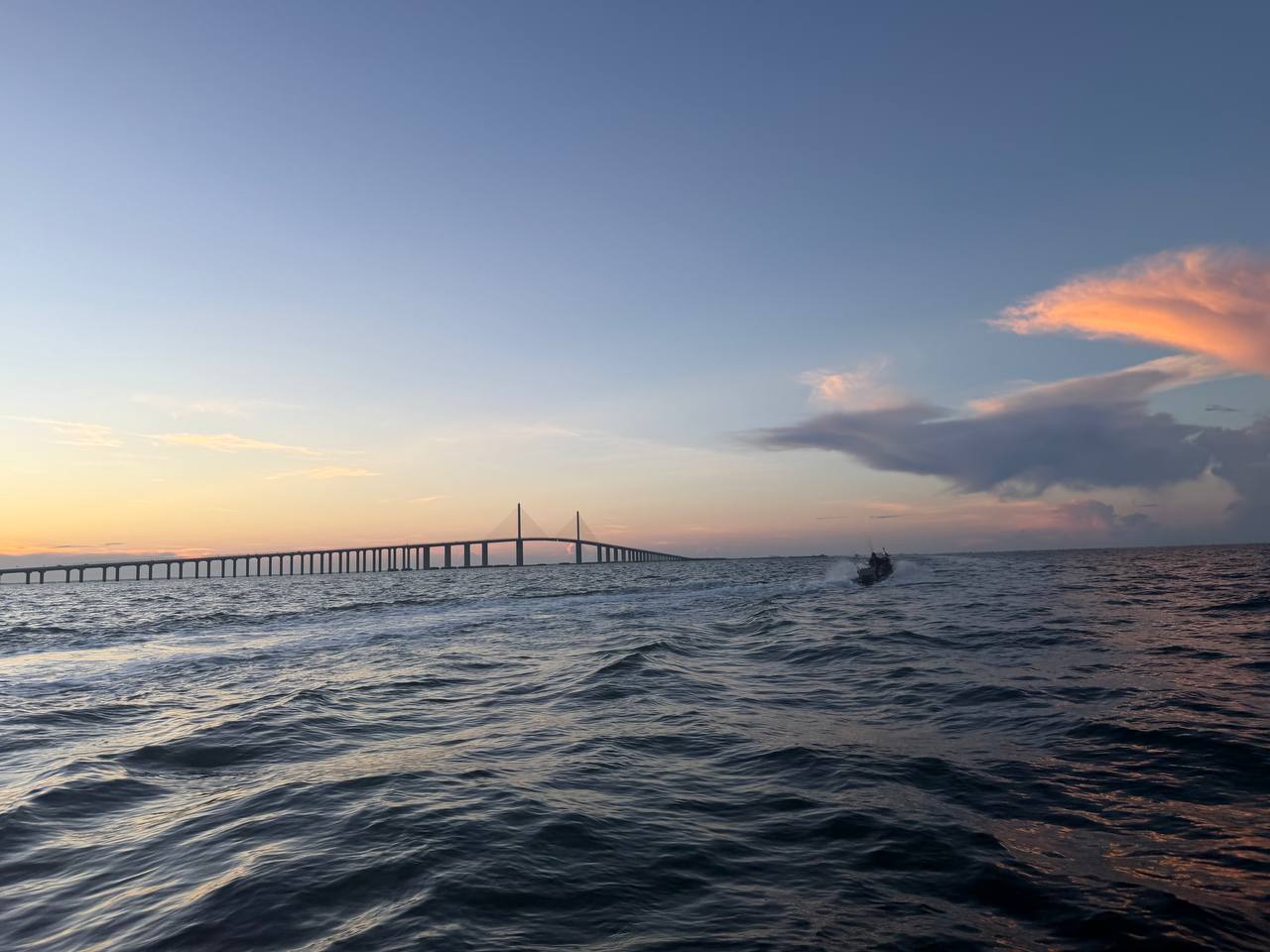 Gag Grouper Season: Sharks, Remoras, and No Grouper