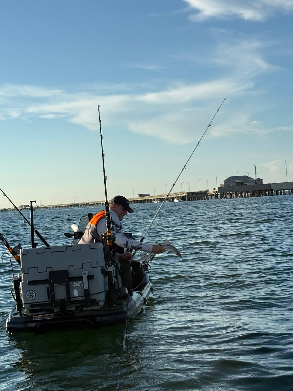 Gag Grouper Season: Sharks, Remoras, and No Grouper