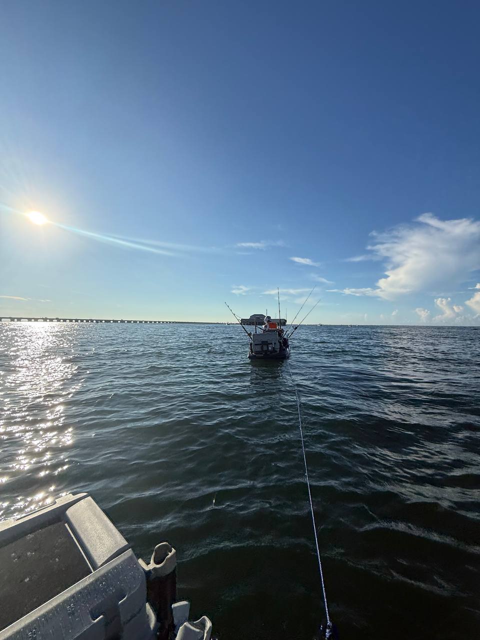 Gag Grouper Season: Sharks, Remoras, and No Grouper