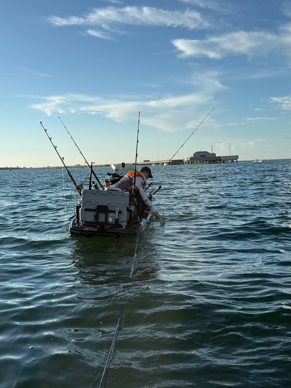 Gag Grouper Season: Sharks, Remoras, and No Grouper