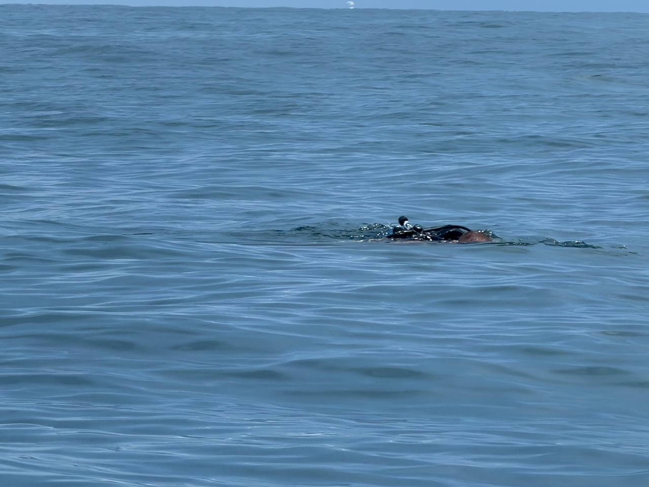 Diving the marks on the Garmin