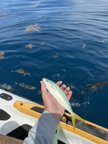 Atlantic Deep Sea Fishing on Jetski