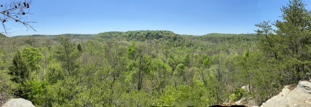 Blue Hollar Offroad Park May 2 2020