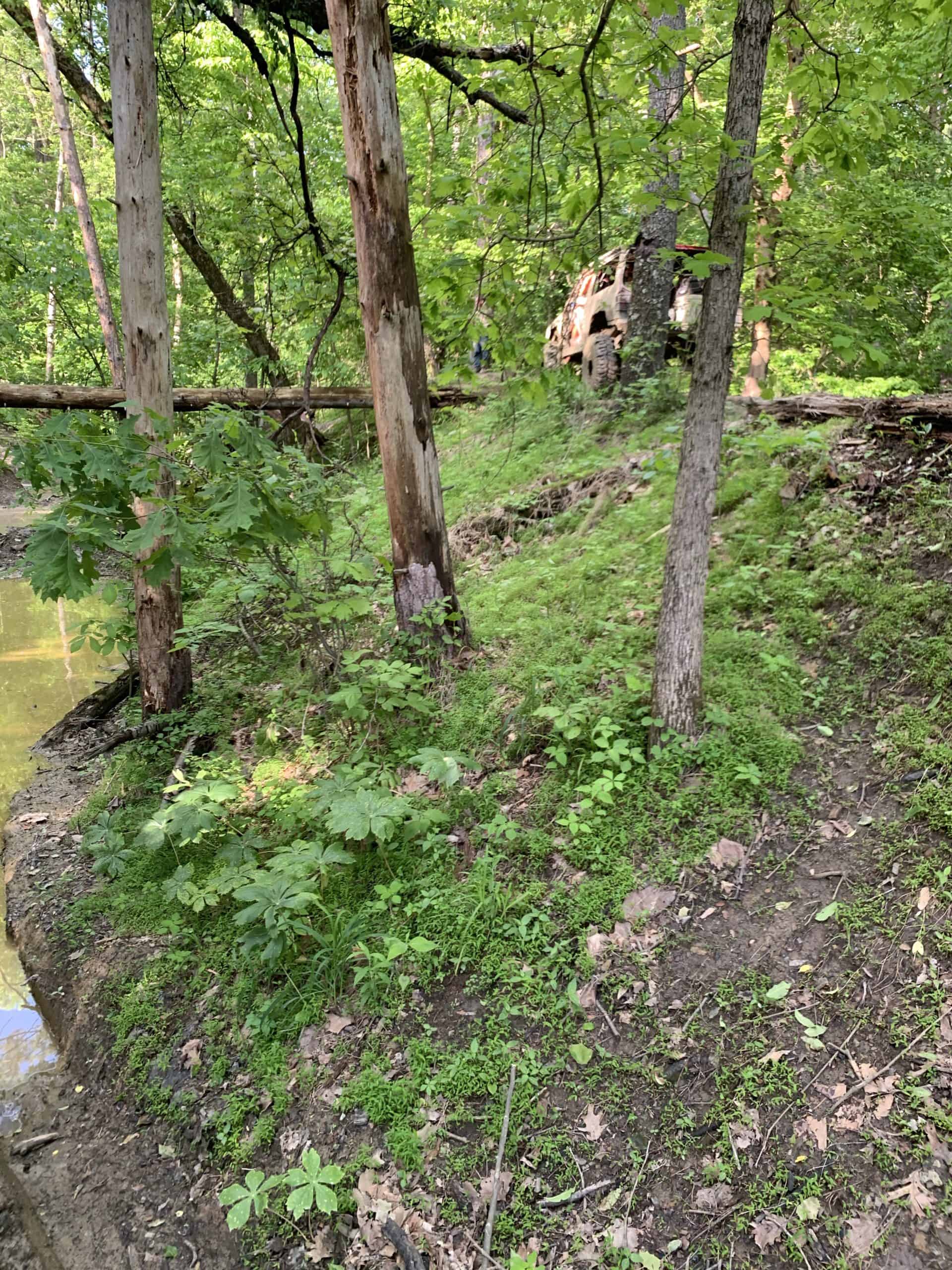 Trip photo