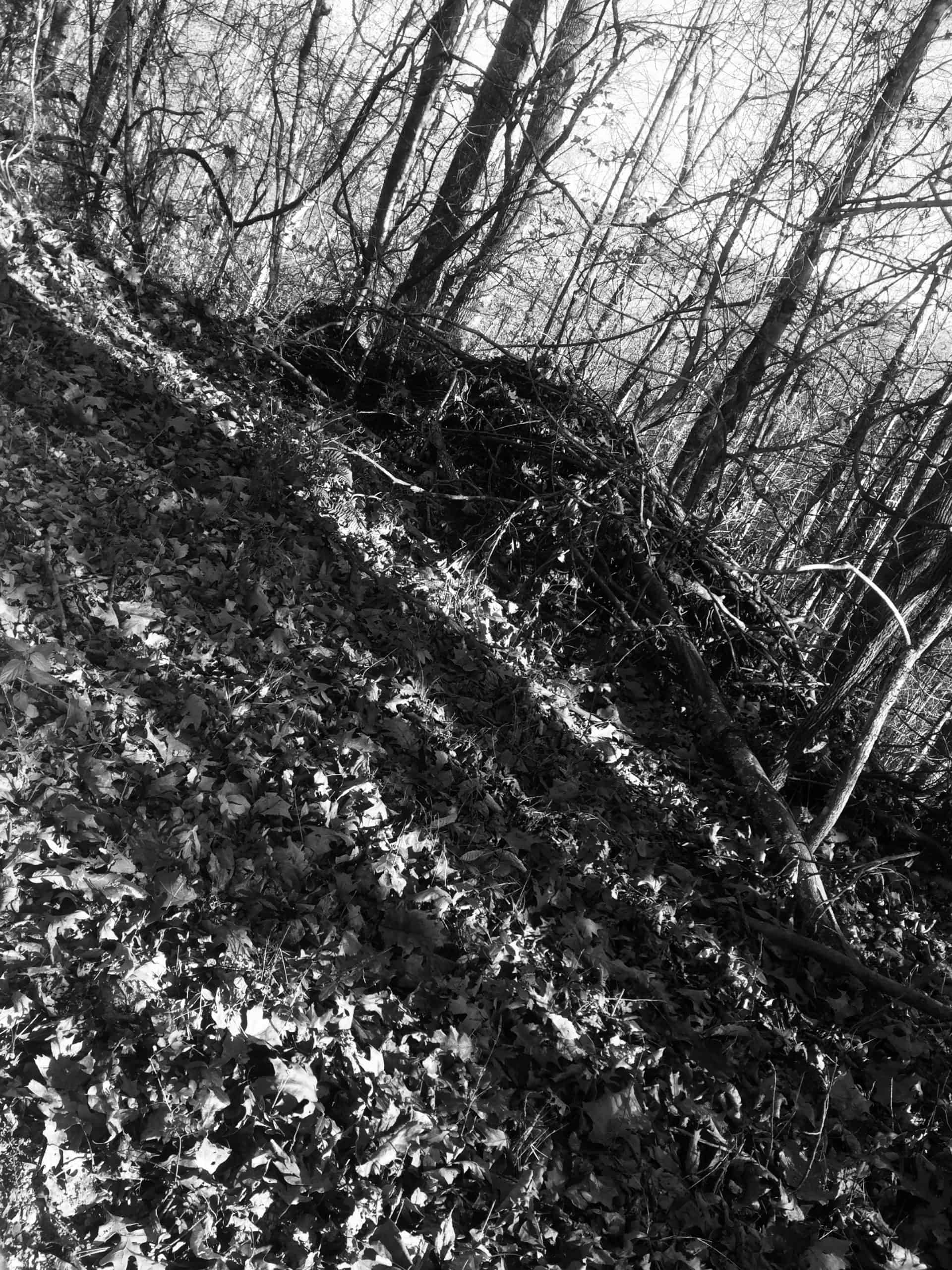 Trip photo