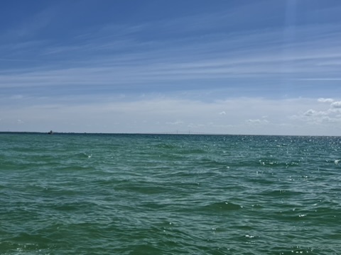 Fishing Locally — Exploring Tampa Bay