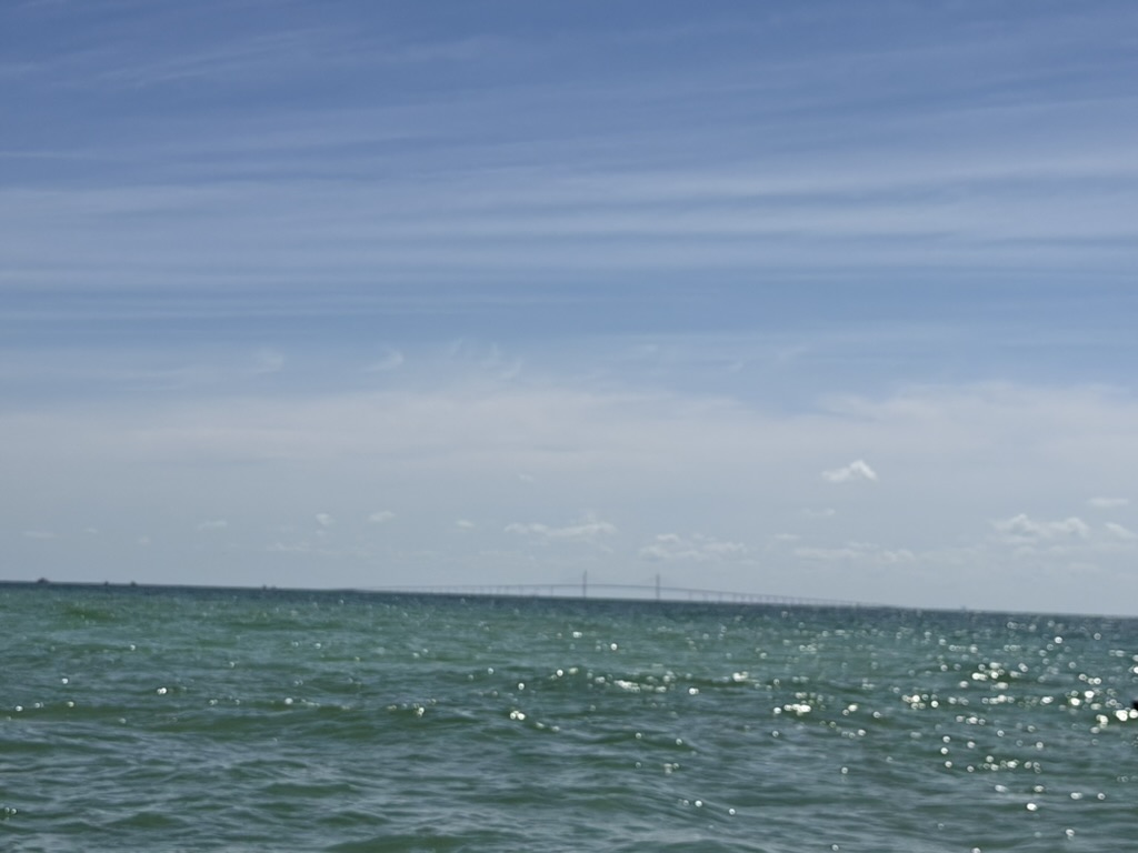 Fishing Locally — Exploring Tampa Bay